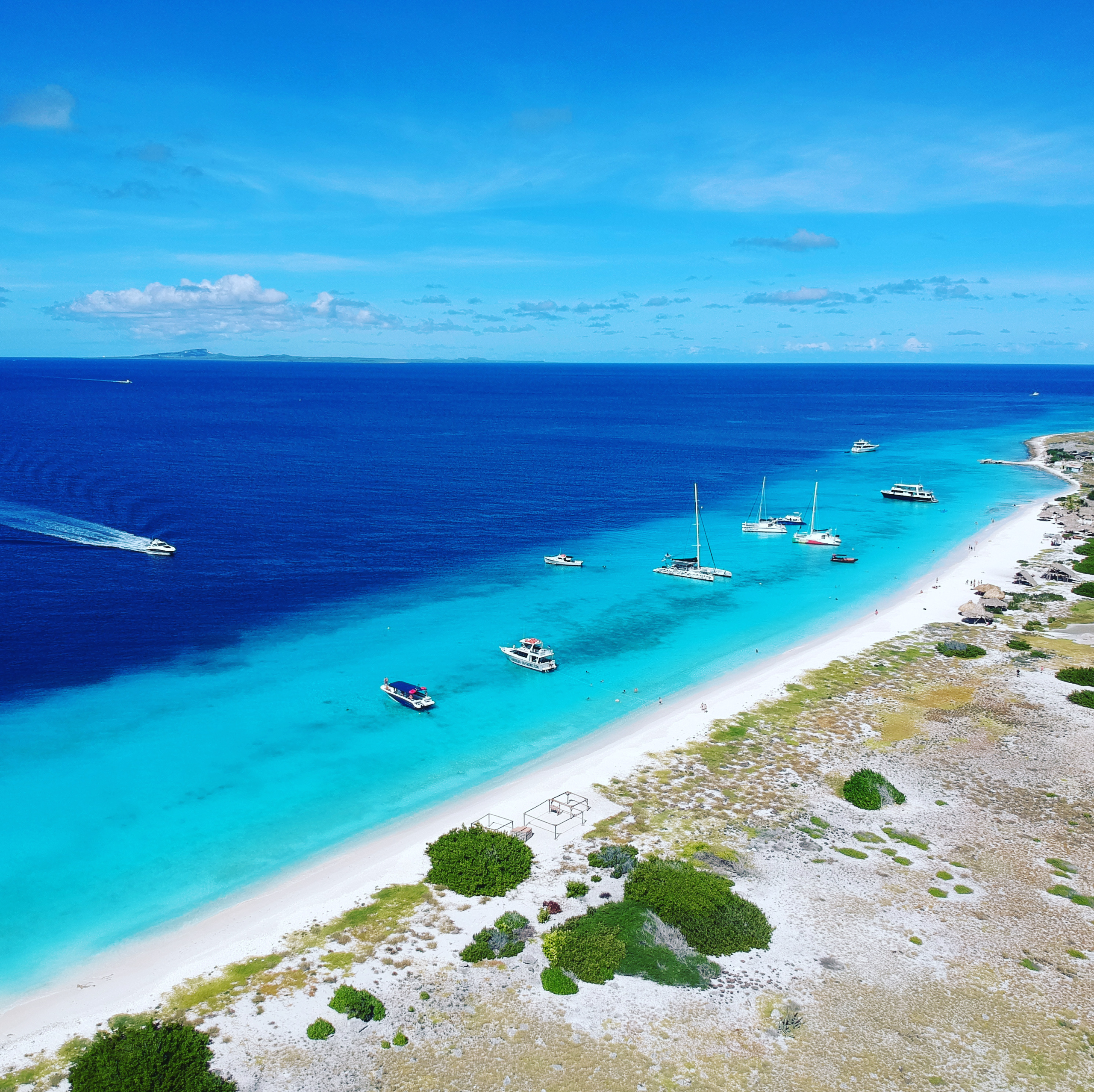 Klein Curacao Blue Finn